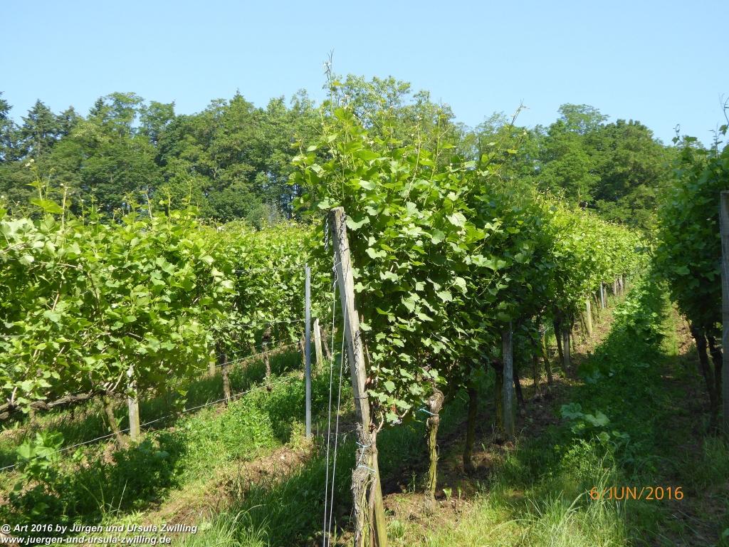 Philosophische Bildwanderung Bensheim Hessentagsweg - Vom Tal zum Hem und uff die Häih - Odenwald