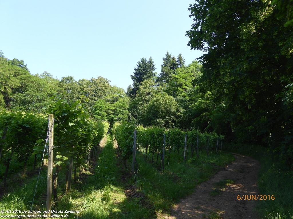Philosophische Bildwanderung Bensheim Hessentagsweg - Vom Tal zum Hem und uff die Häih - Odenwald