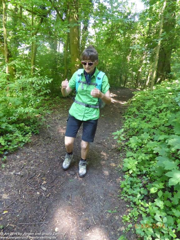 Philosophische Bildwanderung Bensheim Hessentagsweg - Vom Tal zum Hem und uff die Häih - Odenwald