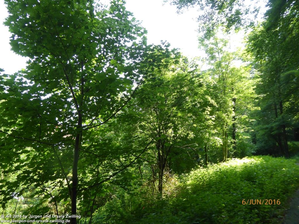 Philosophische Bildwanderung Bensheim Hessentagsweg - Vom Tal zum Hem und uff die Häih - Odenwald