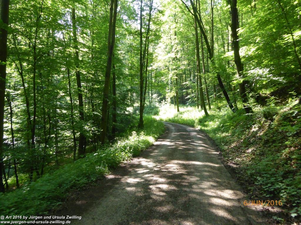 Philosophische Bildwanderung Bensheim Hessentagsweg - Vom Tal zum Hem und uff die Häih - Odenwald