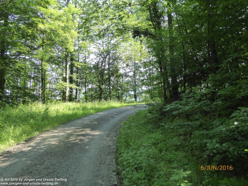 Philosophische Bildwanderung Bensheim Hessentagsweg - Vom Tal zum Hem und uff die Häih - Odenwald
