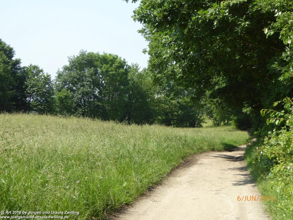 Philosophische Bildwanderung Bensheim Hessentagsweg - Vom Tal zum Hem und uff die Häih - Odenwald