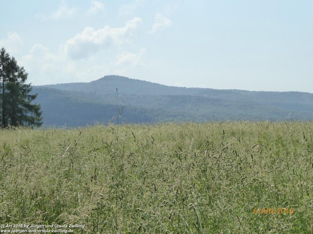 Philosophische Bildwanderung Bensheim Hessentagsweg - Vom Tal zum Hem und uff die Häih - Odenwald