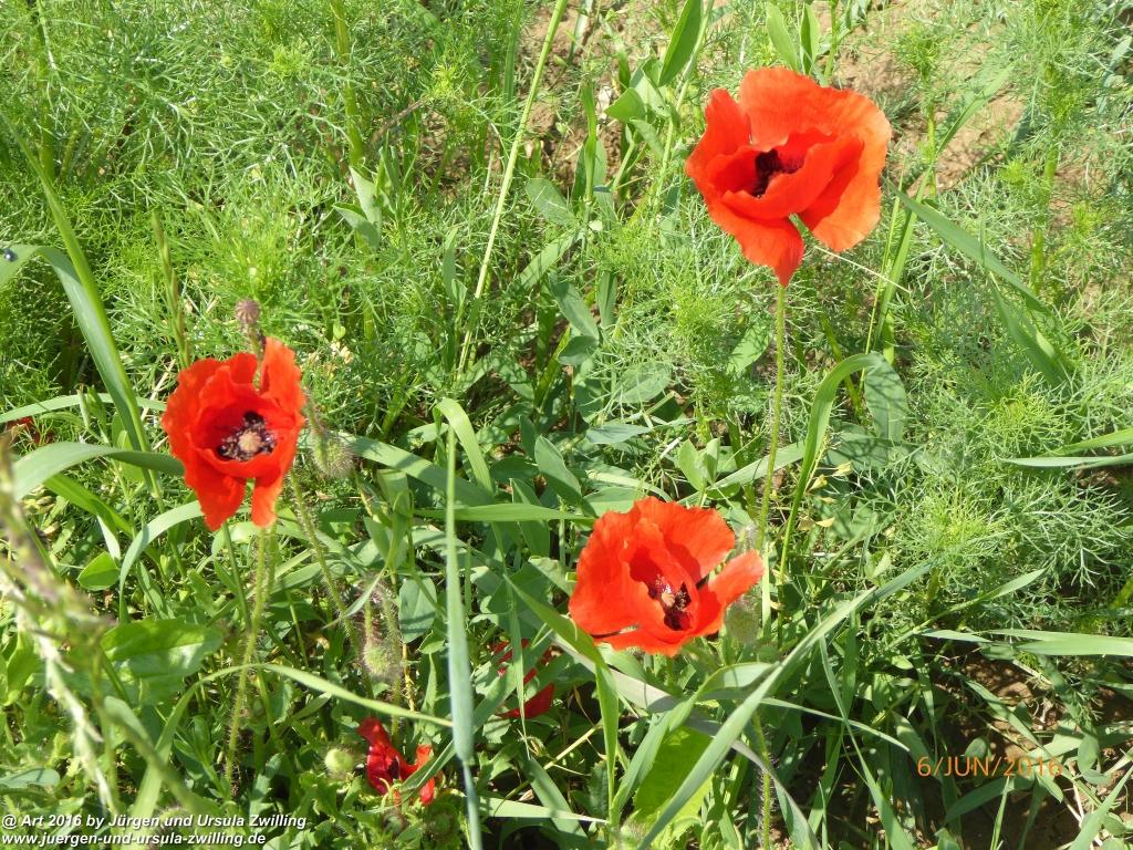 Philosophische Bildwanderung Bensheim Hessentagsweg - Vom Tal zum Hem und uff die Häih - Odenwald