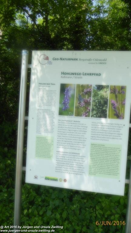 Philosophische Bildwanderung Bensheim Hessentagsweg - Vom Tal zum Hem und uff die Häih - Odenwald