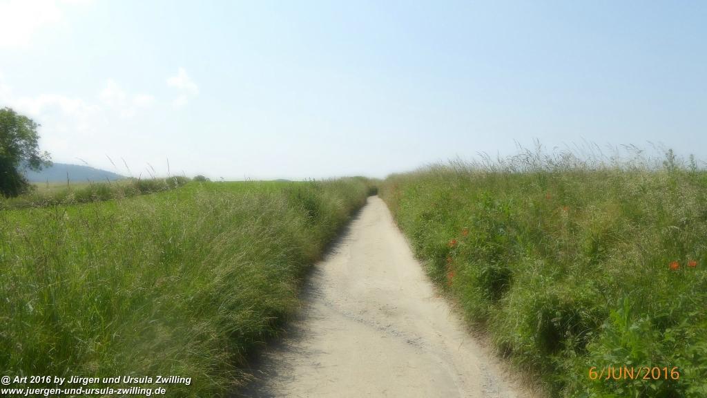 Philosophische Bildwanderung Bensheim Hessentagsweg - Vom Tal zum Hem und uff die Häih - Odenwald