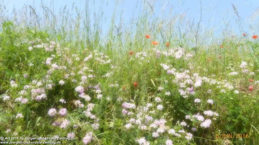 Philosophische Bildwanderung Bensheim Hessentagsweg - Vom Tal zum Hem und uff die Häih - Odenwald