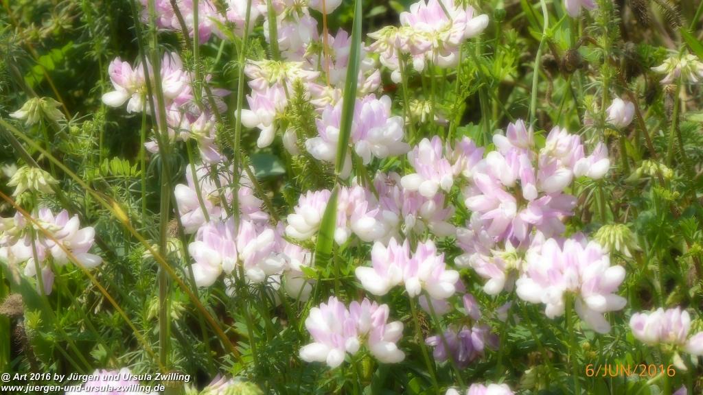 Philosophische Bildwanderung Bensheim Hessentagsweg - Vom Tal zum Hem und uff die Häih - Odenwald