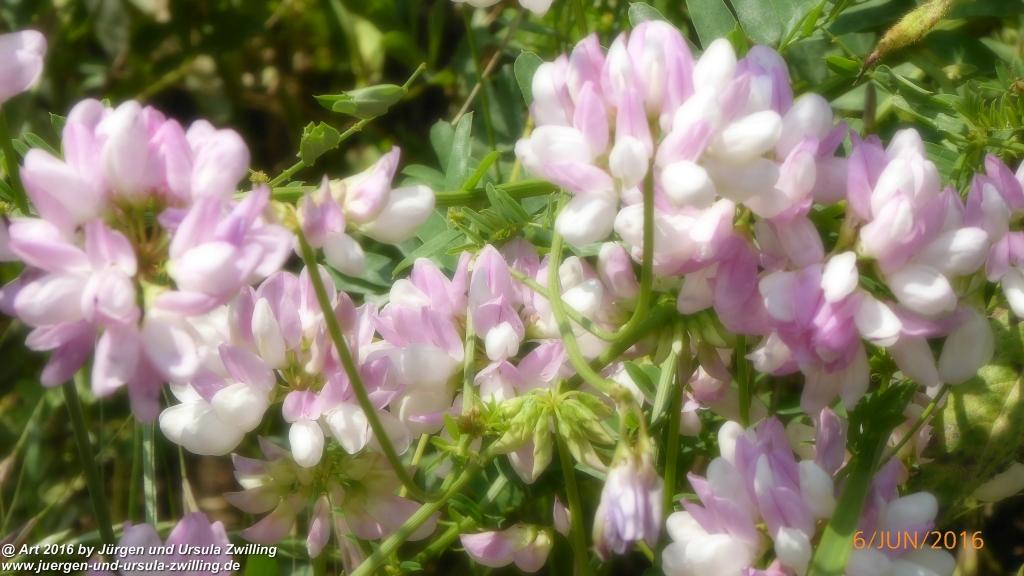 Philosophische Bildwanderung Bensheim Hessentagsweg - Vom Tal zum Hem und uff die Häih - Odenwald