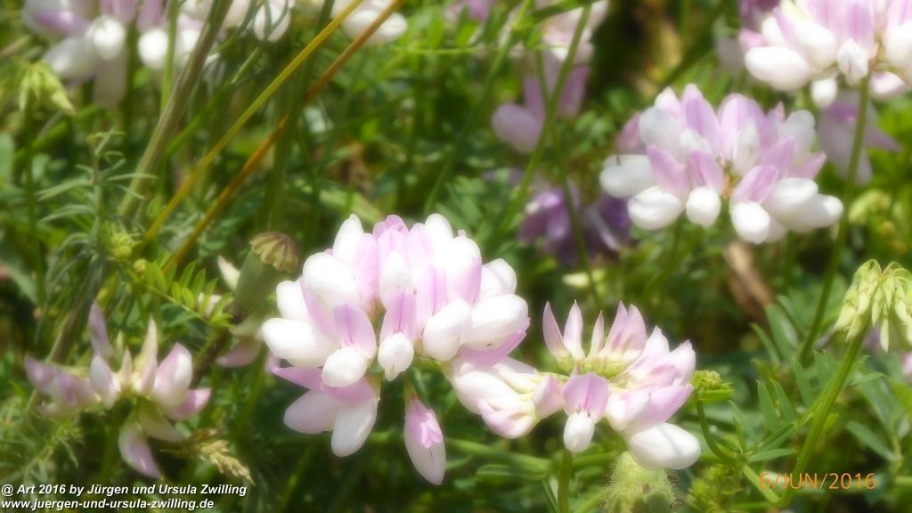 Philosophische Bildwanderung Bensheim Hessentagsweg - Vom Tal zum Hem und uff die Häih - Odenwald