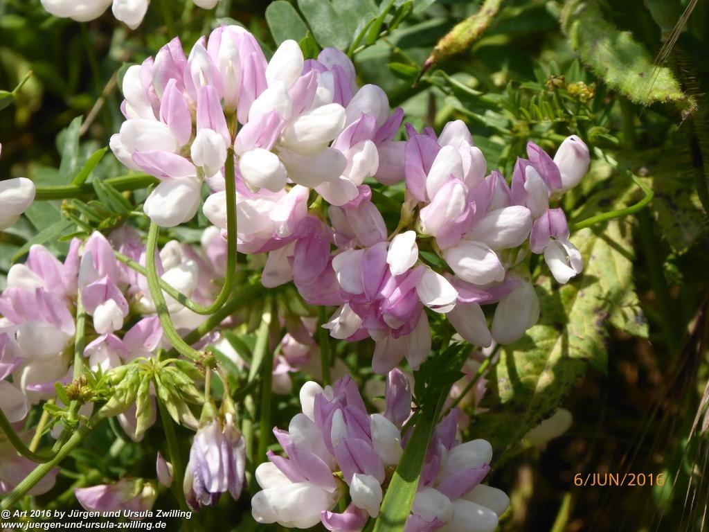 Philosophische Bildwanderung Bensheim Hessentagsweg - Vom Tal zum Hem und uff die Häih - Odenwald