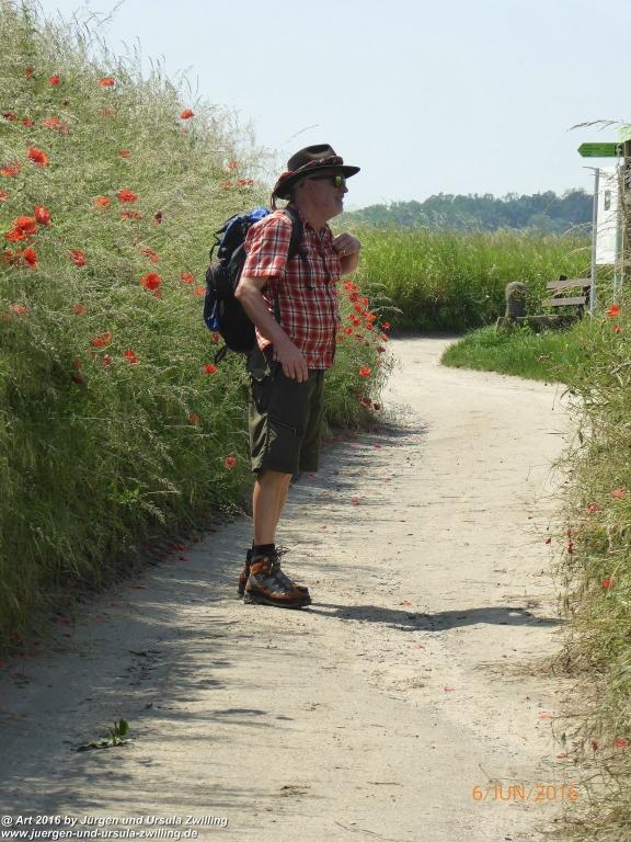 Philosophische Bildwanderung Bensheim Hessentagsweg - Vom Tal zum Hem und uff die Häih - Odenwald