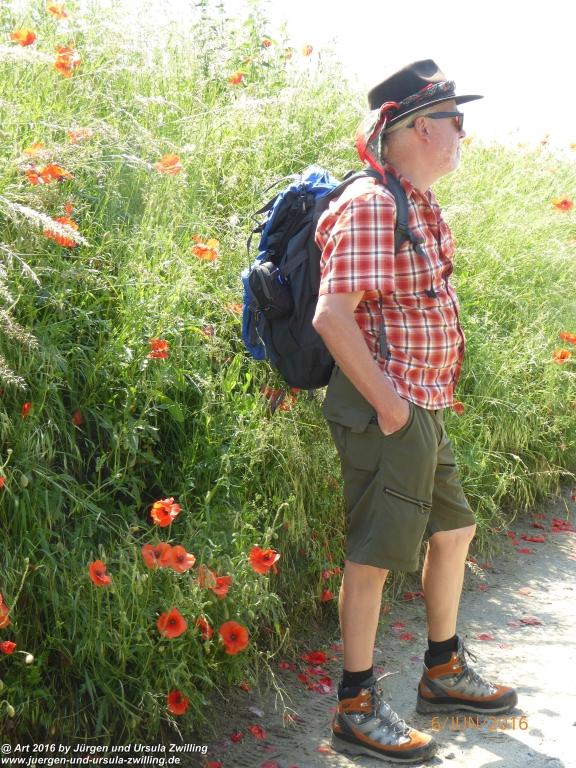Philosophische Bildwanderung Bensheim Hessentagsweg - Vom Tal zum Hem und uff die Häih - Odenwald