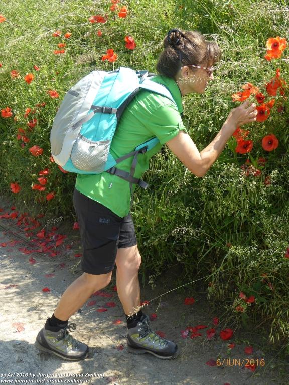 Philosophische Bildwanderung Bensheim Hessentagsweg - Vom Tal zum Hem und uff die Häih - Odenwald