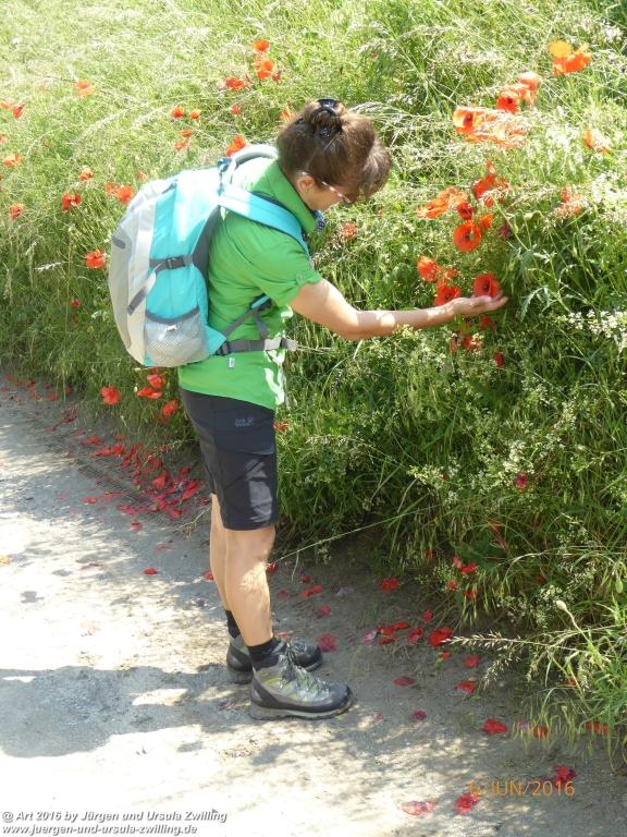 Philosophische Bildwanderung Bensheim Hessentagsweg - Vom Tal zum Hem und uff die Häih - Odenwald
