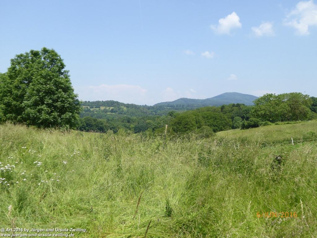 Philosophische Bildwanderung Bensheim Hessentagsweg - Vom Tal zum Hem und uff die Häih - Odenwald