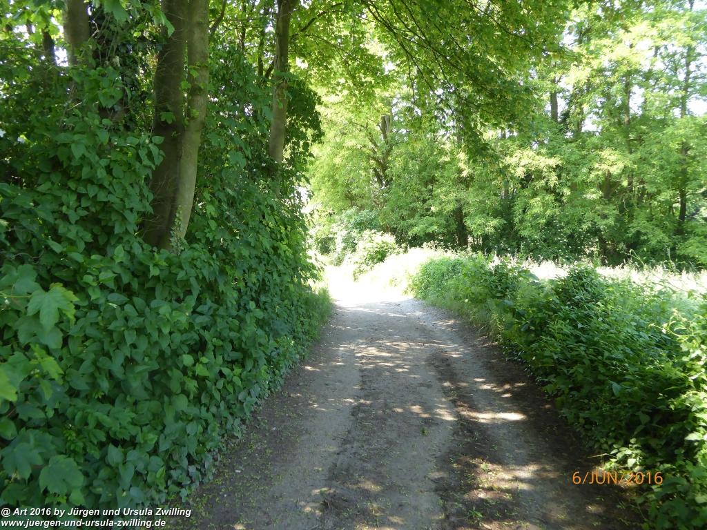 Philosophische Bildwanderung Bensheim Hessentagsweg - Vom Tal zum Hem und uff die Häih - Odenwald