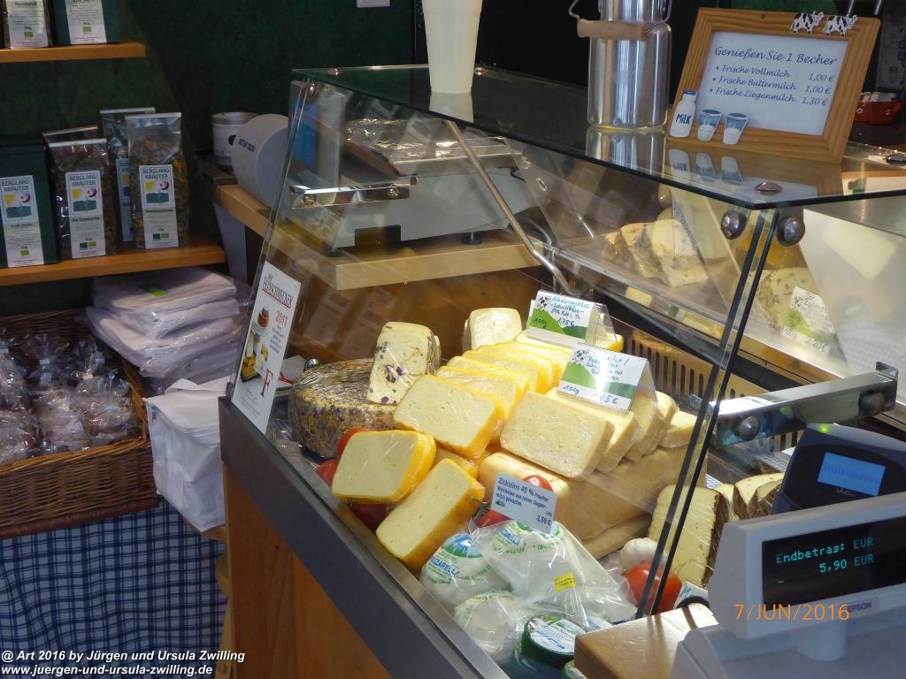 Philosophische Bildwanderung Drachenweg Fafnir - Zwischen Marbach-Stausee und Unter-Mossau - Odenwald