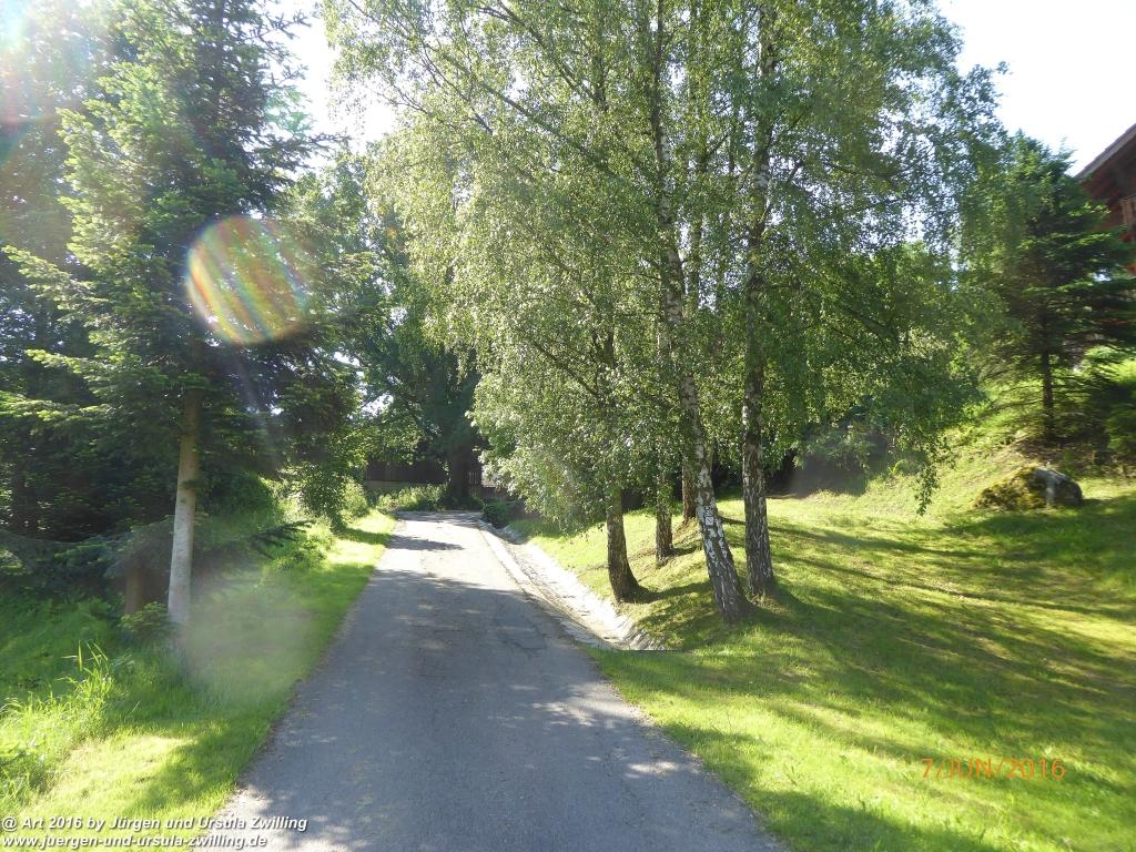 Philosophische Bildwanderung Drachenweg Fafnir - Zwischen Marbach-Stausee und Unter-Mossau - Odenwald
