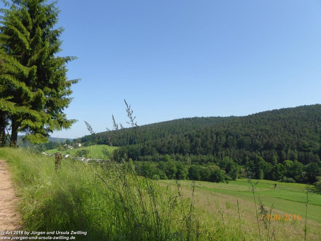 Philosophische Bildwanderung Drachenweg Fafnir - Zwischen Marbach-Stausee und Unter-Mossau - Odenwald