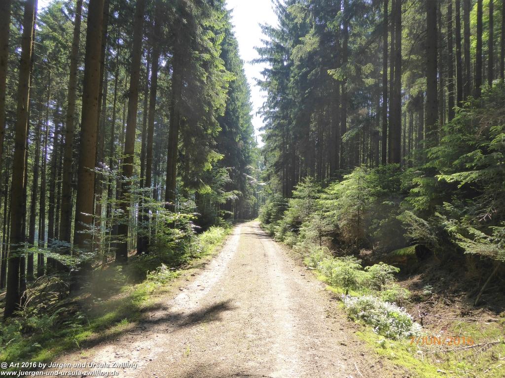 Philosophische Bildwanderung Drachenweg Fafnir - Zwischen Marbach-Stausee und Unter-Mossau - Odenwald