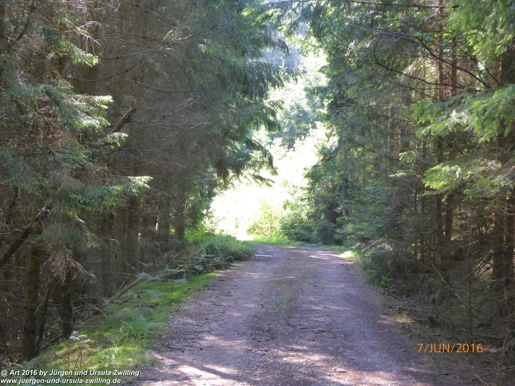 Philosophische Bildwanderung Drachenweg Fafnir - Zwischen Marbach-Stausee und Unter-Mossau - Odenwald