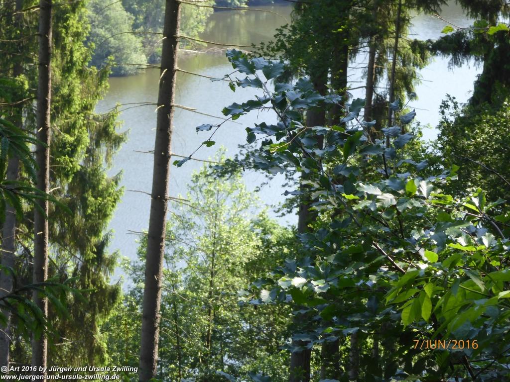 Philosophische Bildwanderung Drachenweg Fafnir - Zwischen Marbach-Stausee und Unter-Mossau - Odenwald