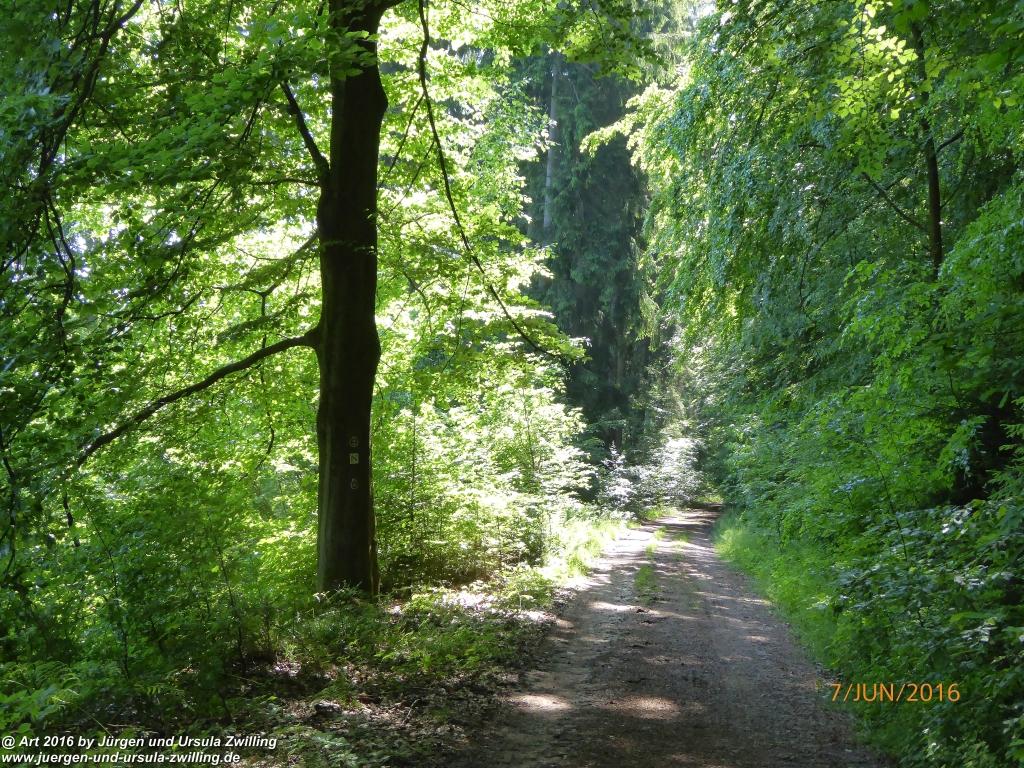 Philosophische Bildwanderung Drachenweg Fafnir - Zwischen Marbach-Stausee und Unter-Mossau - Odenwald
