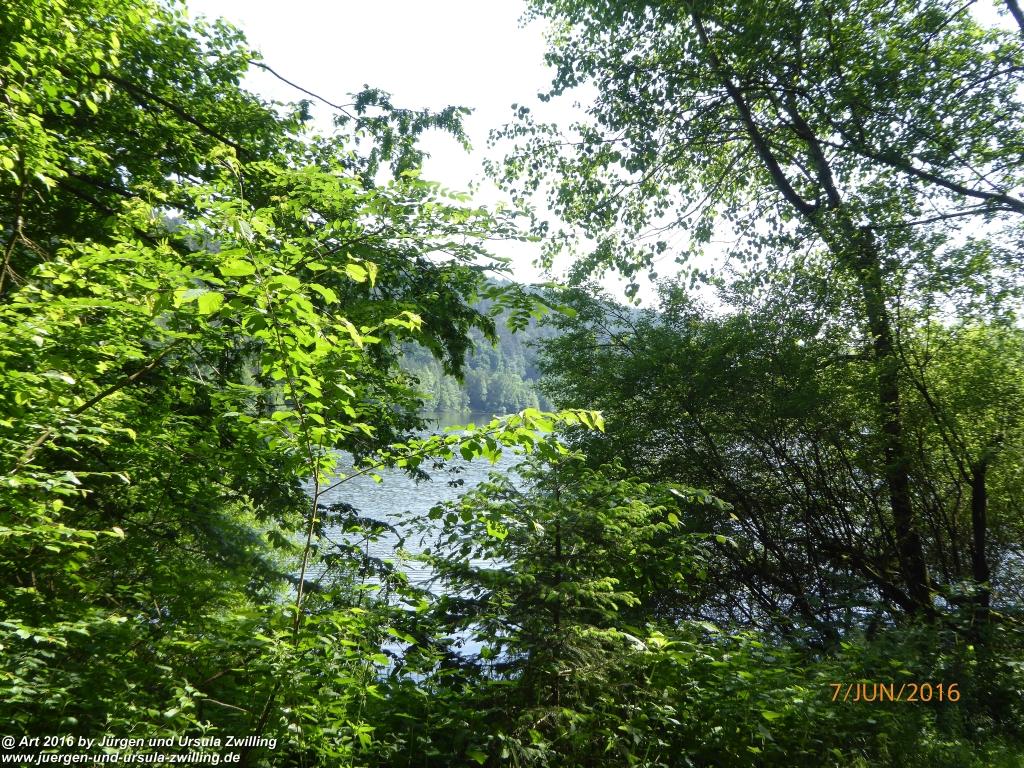 Philosophische Bildwanderung Drachenweg Fafnir - Zwischen Marbach-Stausee und Unter-Mossau - Odenwald