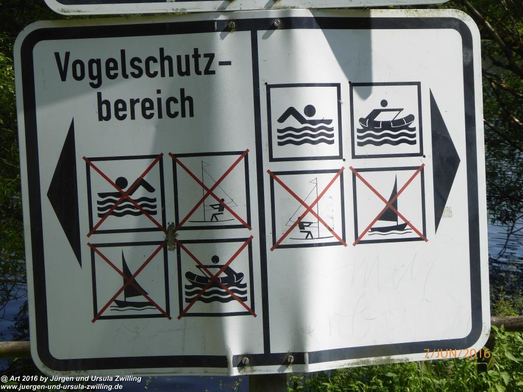 Philosophische Bildwanderung Drachenweg Fafnir - Zwischen Marbach-Stausee und Unter-Mossau - Odenwald