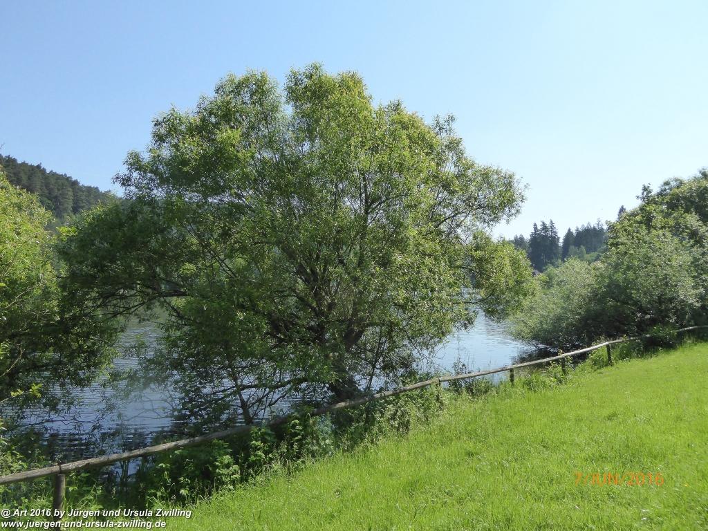 Philosophische Bildwanderung Drachenweg Fafnir - Zwischen Marbach-Stausee und Unter-Mossau - Odenwald