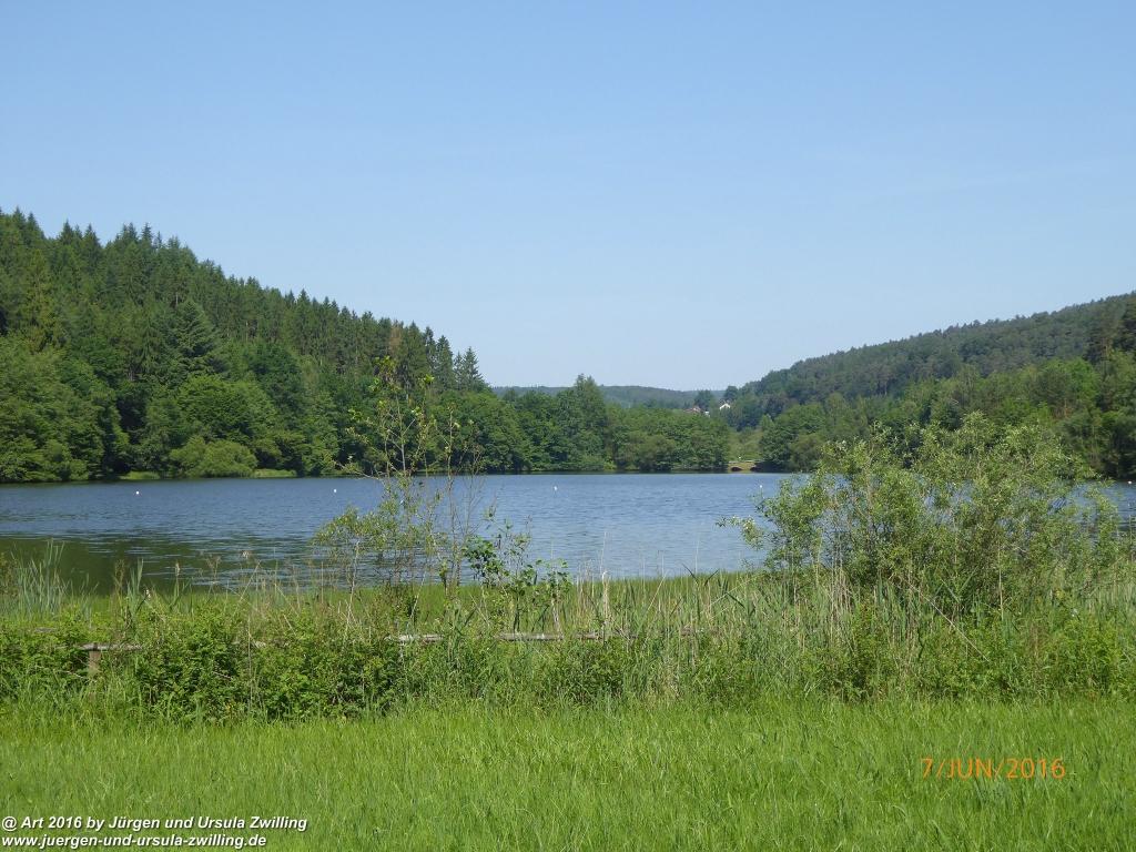 Philosophische Bildwanderung Drachenweg Fafnir - Zwischen Marbach-Stausee und Unter-Mossau - Odenwald
