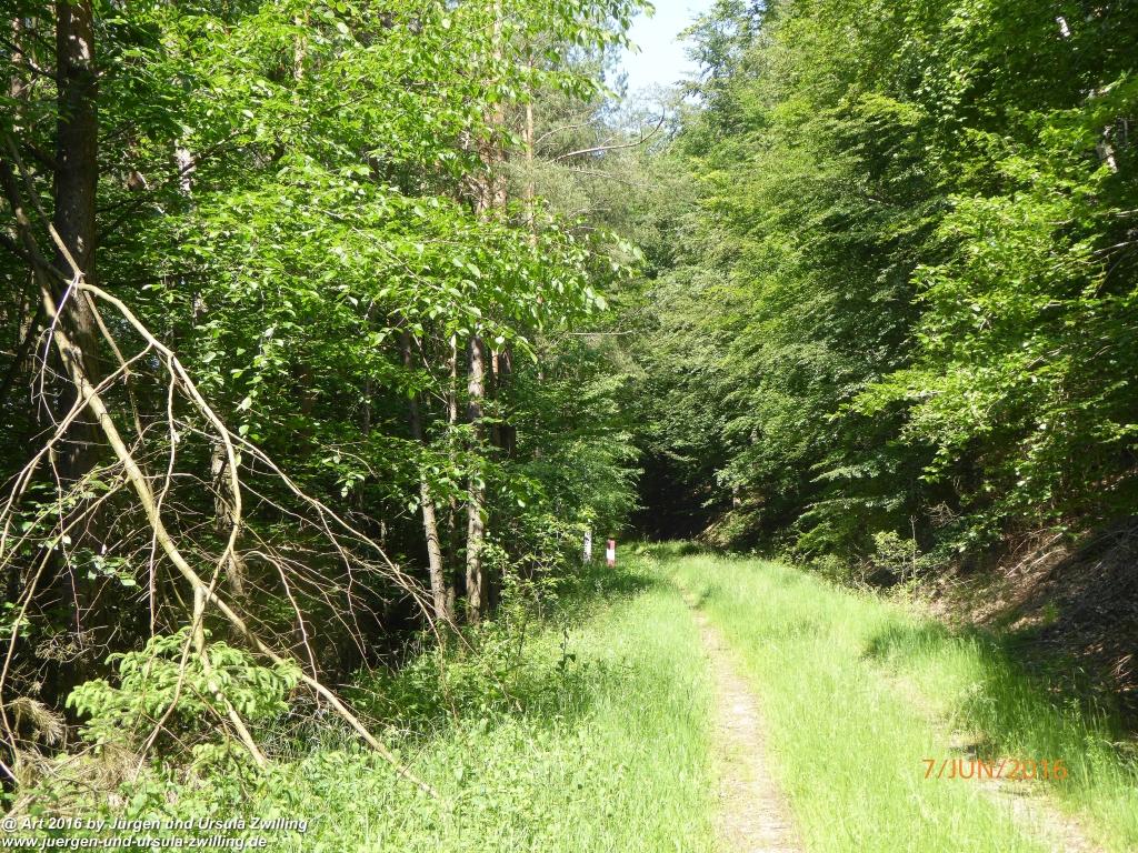 Philosophische Bildwanderung Drachenweg Fafnir - Zwischen Marbach-Stausee und Unter-Mossau - Odenwald
