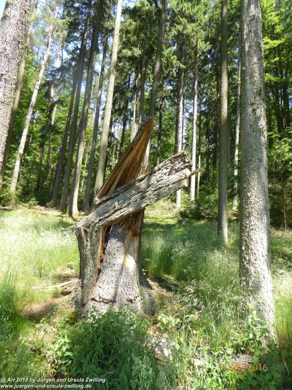 Philosophische Bildwanderung Drachenweg Fafnir - Zwischen Marbach-Stausee und Unter-Mossau - Odenwald