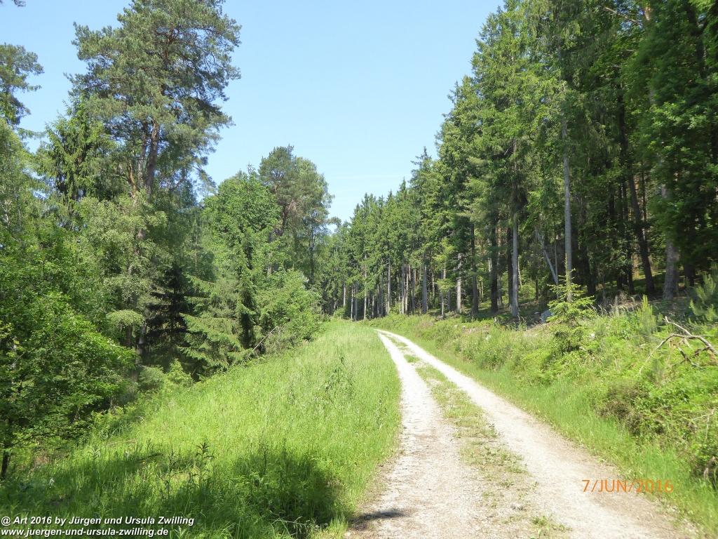 Philosophische Bildwanderung Drachenweg Fafnir - Zwischen Marbach-Stausee und Unter-Mossau - Odenwald