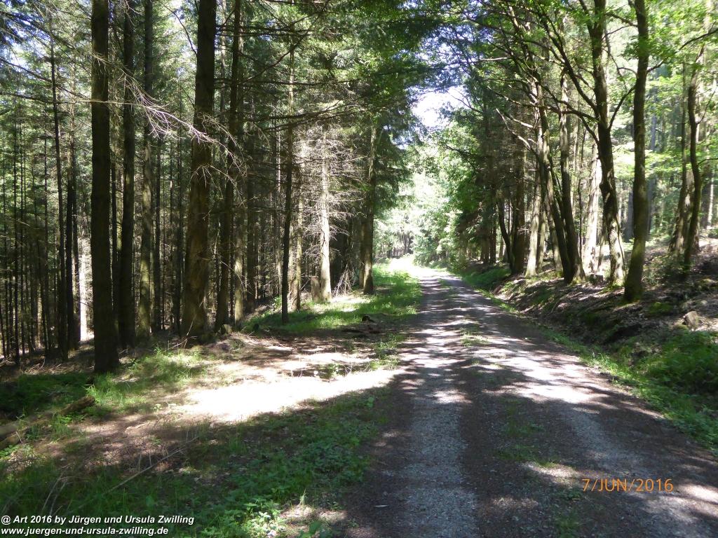 Philosophische Bildwanderung Drachenweg Fafnir - Zwischen Marbach-Stausee und Unter-Mossau - Odenwald