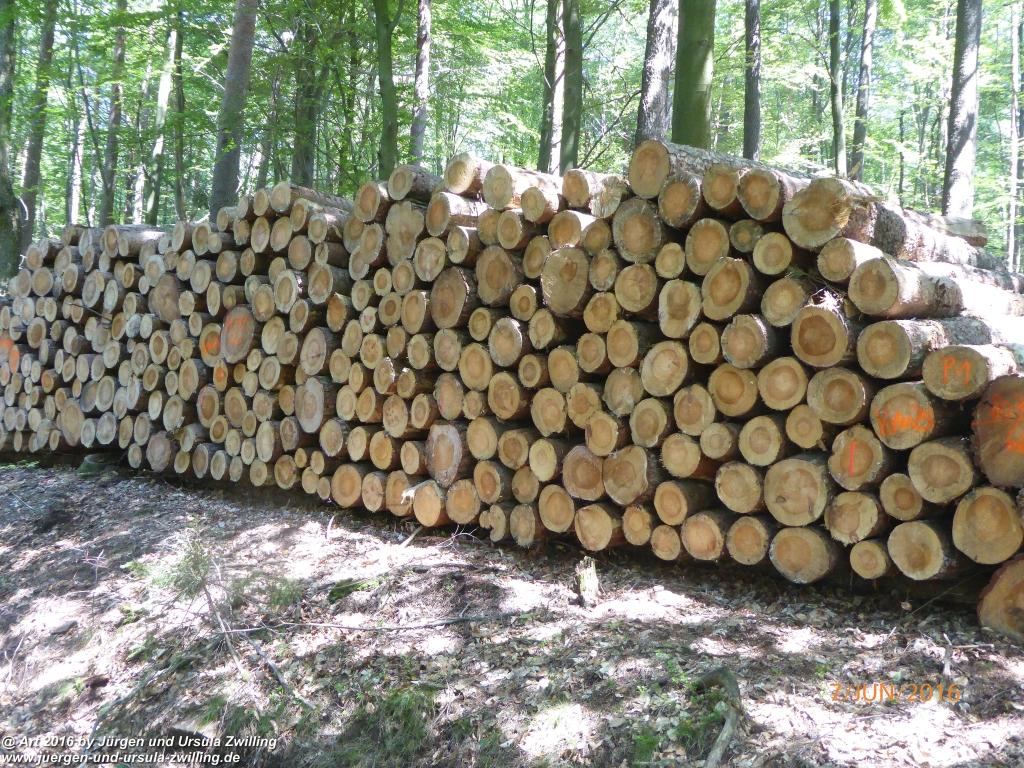 Philosophische Bildwanderung Drachenweg Fafnir - Zwischen Marbach-Stausee und Unter-Mossau - Odenwald