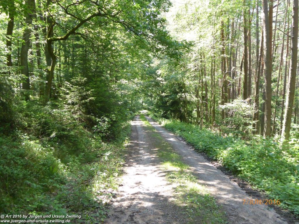 Philosophische Bildwanderung Drachenweg Fafnir - Zwischen Marbach-Stausee und Unter-Mossau - Odenwald