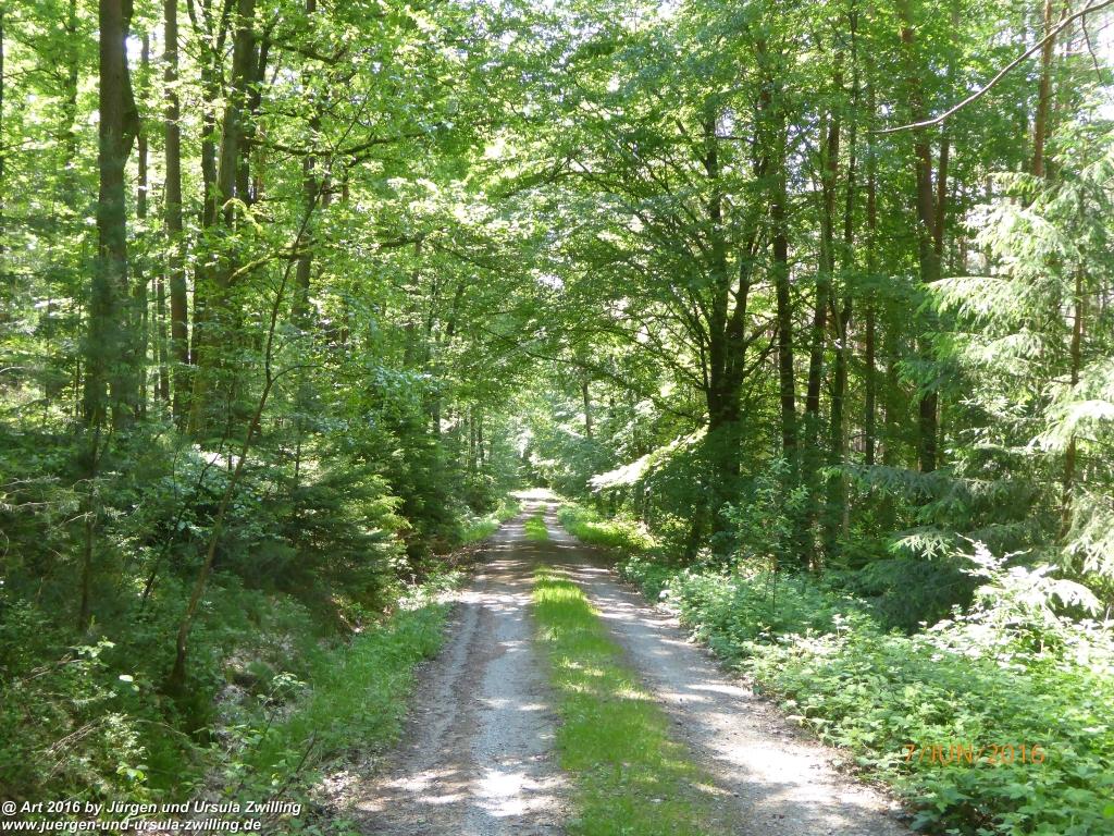 Philosophische Bildwanderung Drachenweg Fafnir - Zwischen Marbach-Stausee und Unter-Mossau - Odenwald
