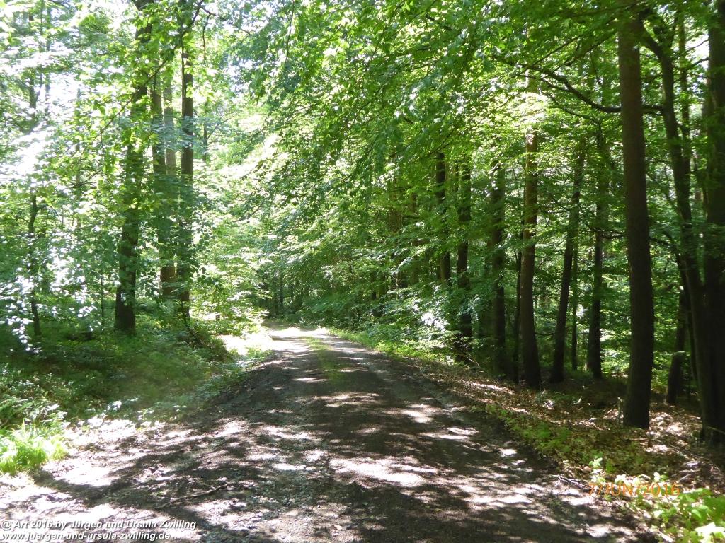 Philosophische Bildwanderung Drachenweg Fafnir - Zwischen Marbach-Stausee und Unter-Mossau - Odenwald