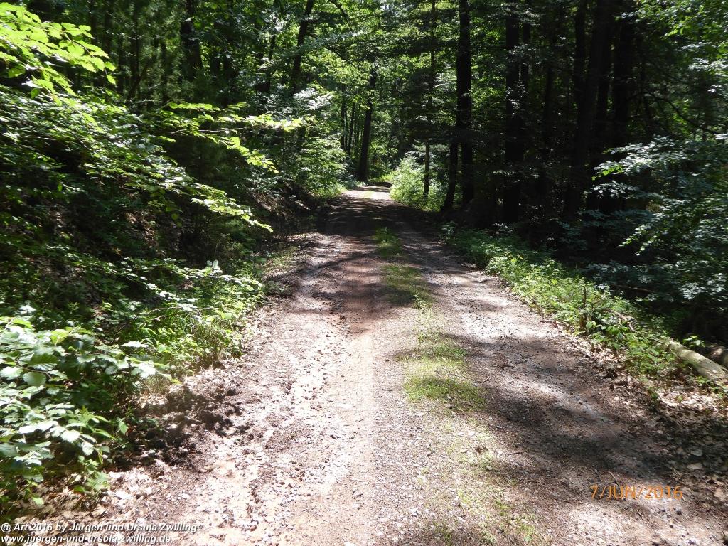 Philosophische Bildwanderung Drachenweg Fafnir - Zwischen Marbach-Stausee und Unter-Mossau - Odenwald