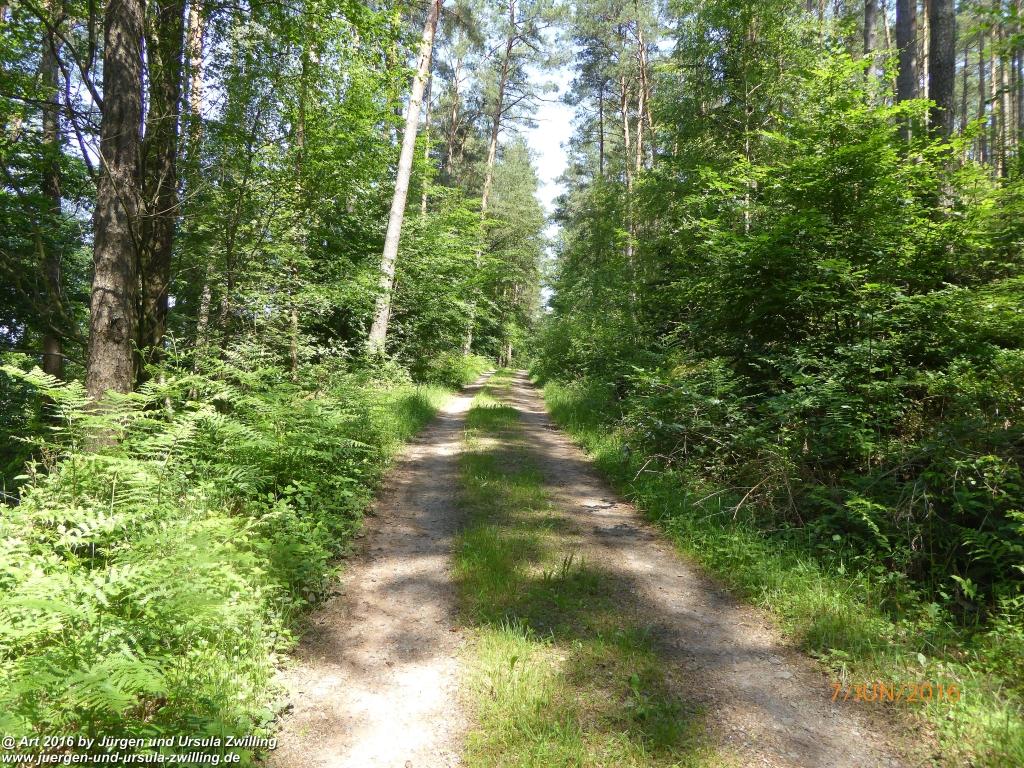 Philosophische Bildwanderung Drachenweg Fafnir - Zwischen Marbach-Stausee und Unter-Mossau - Odenwald