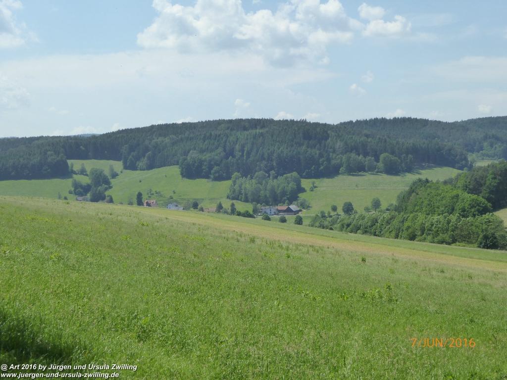 Philosophische Bildwanderung Drachenweg Fafnir - Zwischen Marbach-Stausee und Unter-Mossau - Odenwald