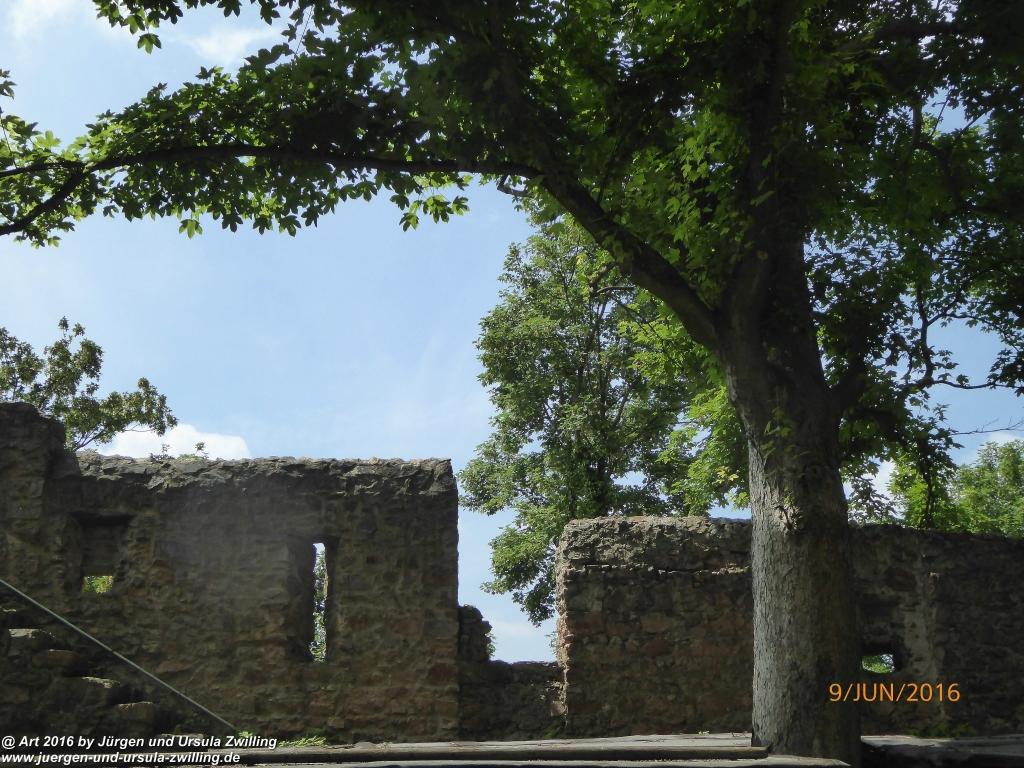 Schloss-Auerbach - Odenwald