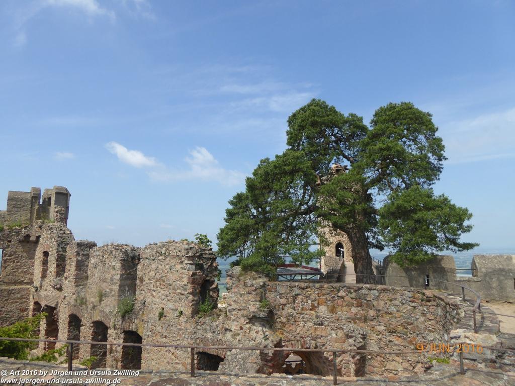 Schloss-Auerbach - Odenwald
