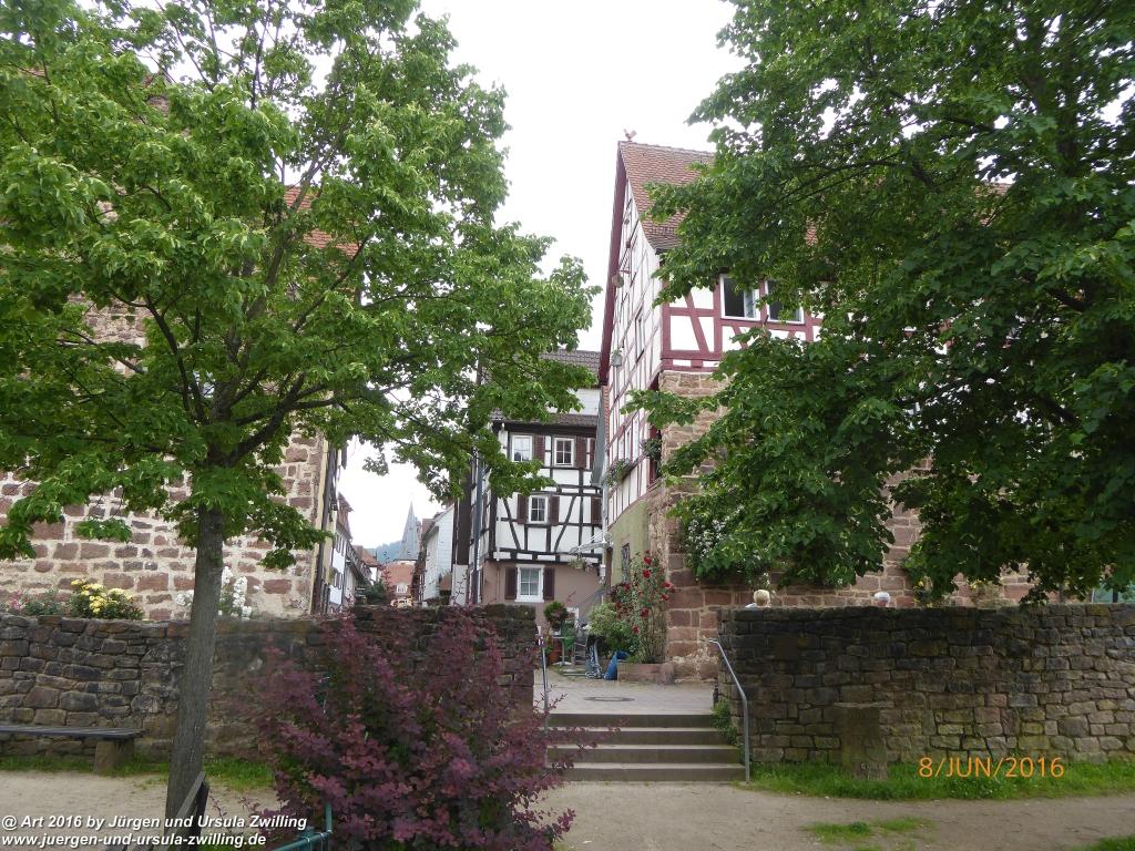 Philosophische Bildwanderung Von Eberbach am Neckar zum Katzenbuckel - Odenwald