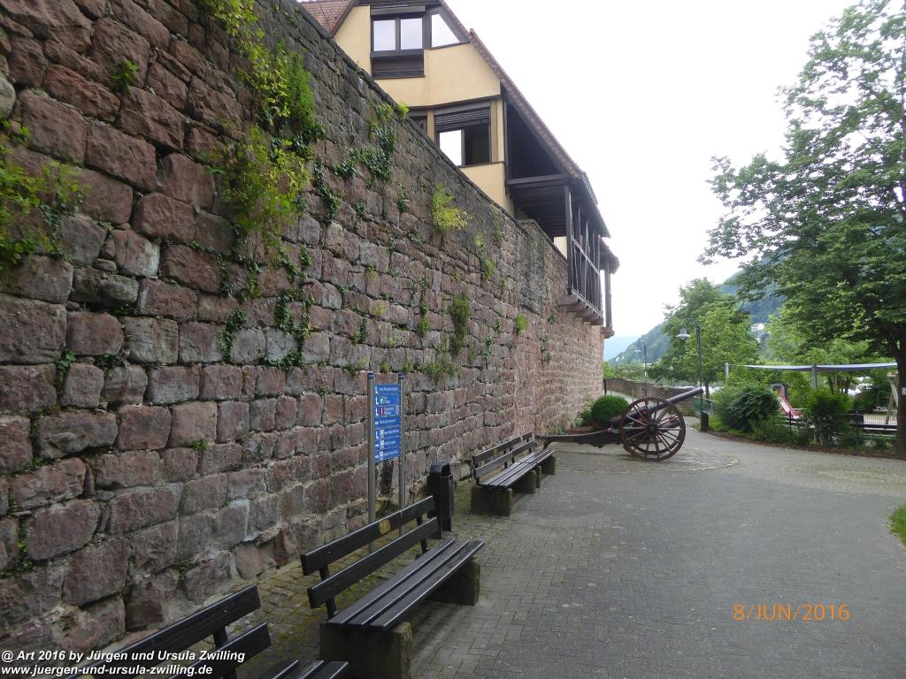 Philosophische Bildwanderung Von Eberbach am Neckar zum Katzenbuckel - Odenwald