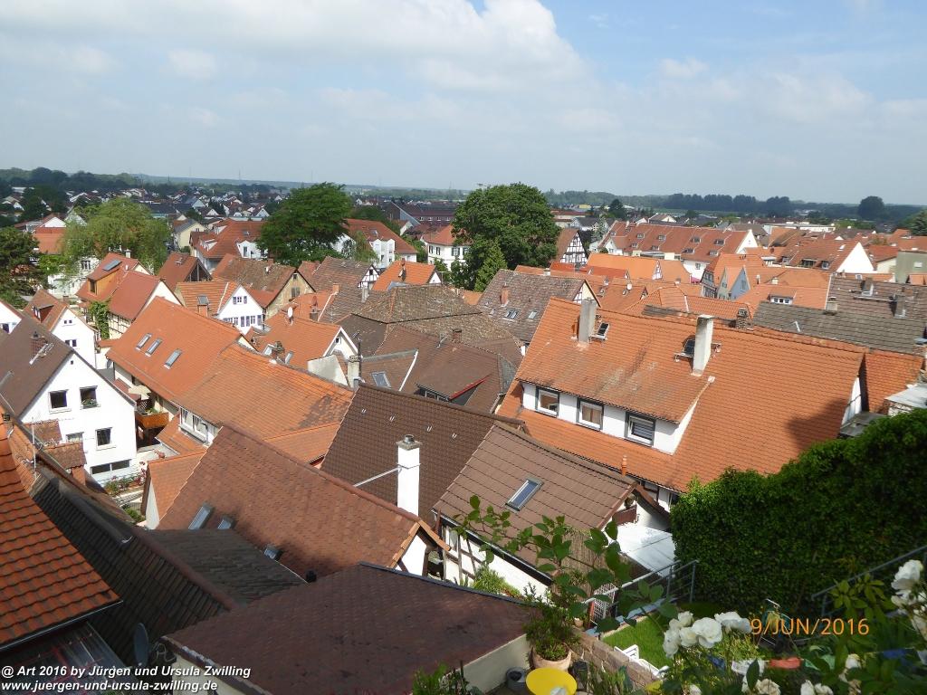 Philosophische Bildwanderung Zwingenberg - Auerbacher Schloss - Melibokus - Ruine Alsbacher Schloss - Zwingenberg - Odenwald