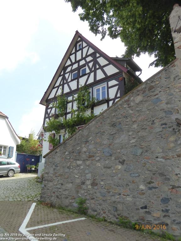 Philosophische Bildwanderung Zwingenberg - Auerbacher Schloss - Melibokus - Ruine Alsbacher Schloss - Zwingenberg - Odenwald